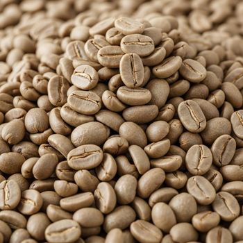 Carefully Processed Arabica Coffee Bean Meeting International Buyer Expectations For Aroma Coffee Bean Appeal - AGRO AFRIQUE COMPANY LIMITED - Tanzania