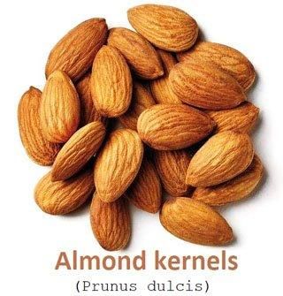 ALMOND NUTS - AGRO AFRIQUE COMPANY LIMITED - Tanzania