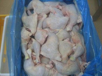 Wholesale & Bulk Frozen Chicken Feet Available Now Perfect for High-Volume Purchase Fresh - TRADING BROS LLC - United States