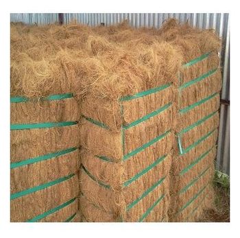 wholesale Supply Coconut Fiber Coir Fiber from Africa Factory - Exigentelaxia Unipessoal Lda - Portugal