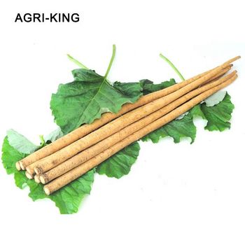 chinese fresh burdock root Style Fresh Type BURDOCK Certification CIQ Brand Name Agri-king Place of Origin China Cultivation Type - Agri-King (Qingdao) Industrial Co., Ltd. - China