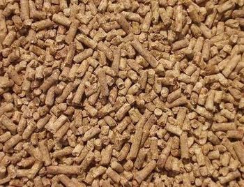 Premium Goat Feed – High-Performance Nutritional Solution - AGROCARTE EXIM ENTERPRISES PVT LTD - India