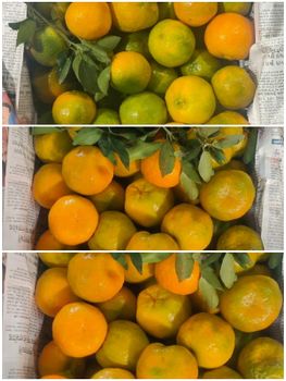 orange – product photo, Fresh Orange Fruit products found from trusted suppliers, wholesalers, manufacturers & exporters Listing