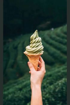 Non-Dairy Creamer for Ice Cream - Qijia 25kg Perfect for Soft Serve - Qijia Food Ingredients Limited - China