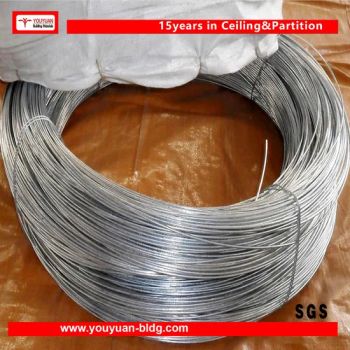 1mm1 24mm1 34mm Galvanized Steel Wire with Different Color Plastic Coating - Hangzhou Youyuan Imp. & Exp. Co., Ltd. - China