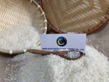 Viet Nam Top Japonica Rice 5% Broken Low Price High Quality Viet Nam Rice Supplier Top Rice Wholesale from Ngoc Chau Rice Export Viet Nam Top Japonica Rice 5% Broken Low Price High Quality Viet Nam Rice Supplier Top Rice Wholesale - Ngoc Chau Rice Export - Vietnam