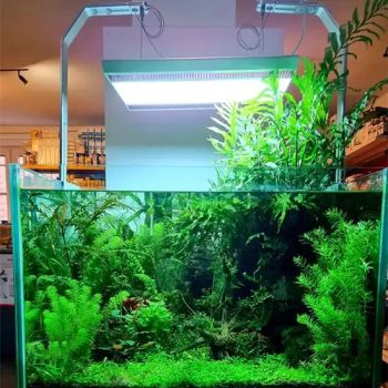 120W Fish Tank LED Light Aquarium Freshwater Planted Light Color Black Origin China Weight 3.5kg Condition New MOQ 10 Pieces - Bests Industrial and Trading Co., Ltd - China