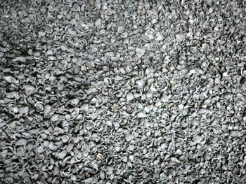 Candlenut Charcoal - Trimitra Persada Globalindo - Indonesia