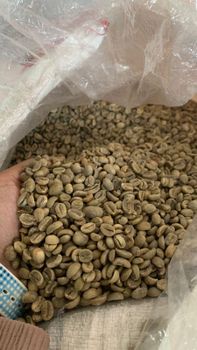 green Bean Arabica from Ras Essence Gemilang green Bean Arabica – product photo, Unwashed Arabica Coffee products found from trusted suppliers, wholesalers, manufacturers & exporters Listing