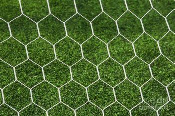 Football Net Polyester Hexagonal Football Net Trademark QS Origin Shandong Material Polyester Specification 30*30*30 Transport Package - Shandong Binzhou Qiangsheng Sporting Goods Co., Ltd - China