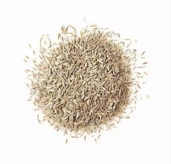 High Quality Cumin Seeds – 100% Natural & Aromatic Spice Grade A Shelf Life 24 - TRADE NEPAL LLC - United States