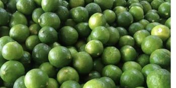 Lemon - Prashanteshwar and company - India