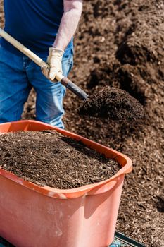 Cow Dung Powder - Gaudhanova Exports LLP - India