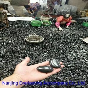 Black Polished River Rock Tumbled Pebble Stone Landscaping Beach Pebbles - Nanjing Everlasting Accompany Co., Ltd. - China
