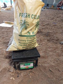 Coconut Type CIF Packaging PP - RKC GLOBAL TRADING - India