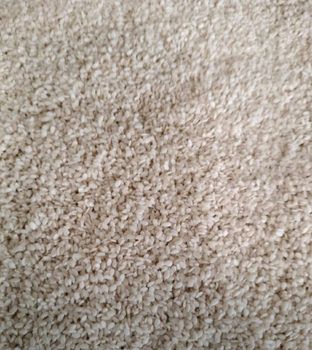 Sesame Seed from Mohammed Jaafar Abdul Rahman Import and Export Works Sesame Seed – product photo, Black Sesame Seed products found from trusted suppliers, wholesalers, manufacturers & exporters Listing