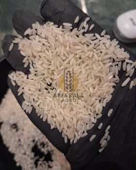 Long Grains White Rice from SREE BALA AGRO Long Grains White Rice - SREE BALA AGRO - India