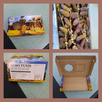 DEGLET NOUR BRANCHED DATES Box of 1 kg HS CODE 08041000 - AGRO TUNIS - Tunisia