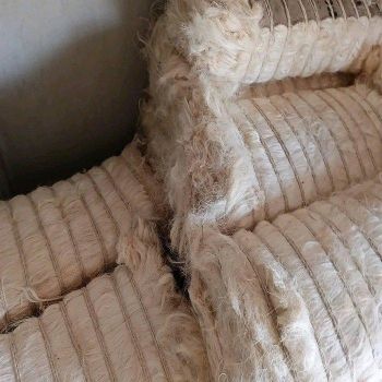 Best Supplier 100% Natural Sisal Fiber Sisal Virgin Grade Flame Retardant Chemical-Resistant Worldwide Distribution - TRADECENTRIC LLC - United States