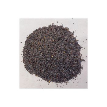 Bulk supply of rapeseed with fast delivery for food and industrial use - MASI TRADING GMBH - Germany