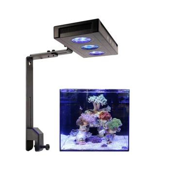 Coral Reef Grow LED Saltwater Light for Aquarium Fish Tank OEM Accepted Condition New IP Rating IP44 Model NO. A030 Certification - Bests Industrial and Trading Co., Ltd - China