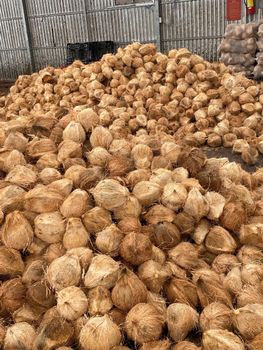 Desiccated Coconut Form Whole Color White Organic Yes Quality High Packaging 25kg/Net Drying Process Natural Place of Origin Ben Tre - Phu Cuong Export Import Services Consultance Trading - Vietnam