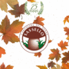 Product - L'ARTIGIANA DEL FUNGO - Italy