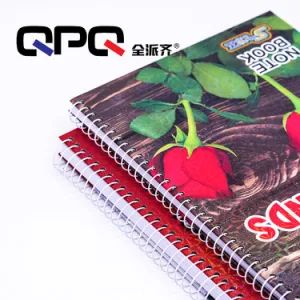 Good Price Pet Coated Galvanized Metal Spiral Coil Notebook Binding Iron Wire O - Jinhua Boyuan Binding Material Co., Ltd. - China
