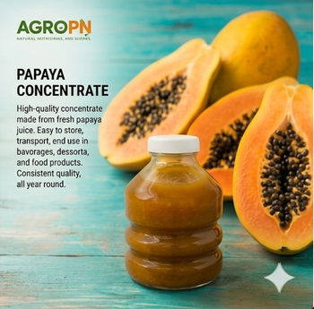 Papaya concentrate Organic Yes Features Organic Degree Of Maturity Mature Degree of Processing Frozen, Puréed - AgroPn - Panama