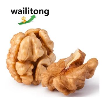 High grade non-GMO products delicious light color walnut kernel halves nuts for food - Xi'an Wailitong Food Co., Ltd. - China