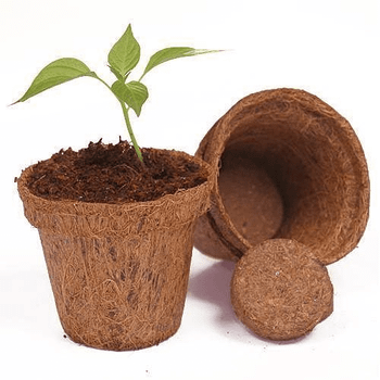 Coconut Coir Pot - Eco-Friendly & Biodegradable - VIET FARGIMEX COMPANY LIMITED - Vietnam