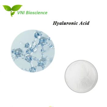 Halal Kosher Certified Natural Pure High Content Hyaluronic Acid Powder Sodium Hyaluronate - Qingdao Vital Nutraceutical Ingredients Bioscience Co., Ltd. - China