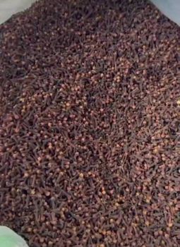 cloves - jtenkgroup - Tanzania
