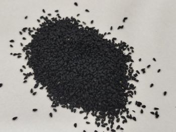 black seeds from ALTANNOUS COMPANY black seeds - ALTANNOUS COMPANY - Syria