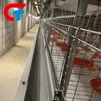 H Frame Automatic Feeding System Farming Poultry Equipment Battery Cage - Wulian Changtai Intelligent Technology Co.. Ltd. - China