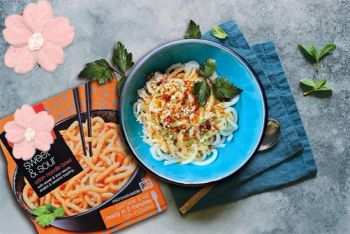 Jojose OEM Instant Ready Meals & Meal Kits Japanese Bowl Noodles Undon - EVERGREEN CORPORATION CO., LTD. - China