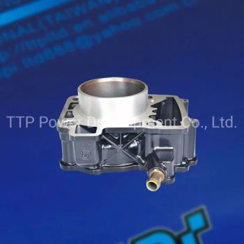 Motorcycle Engine Parts Motorcycle Cylinder (piston, piston rings) for Pulsar 200ns - TTP Power Development Co., Ltd. - China