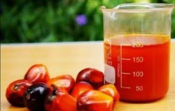 Crude Palm oil /Wholesale Palm Oil/ Cooking Oil Wholesale Palm Oil/ Refined Palm Oil from PK Luxuries Crude Palm oil /Wholesale Palm Oil/ Cooking Oil Wholesale Palm Oil/ Refined Palm Oil - PK Luxuries - United States