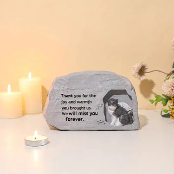 fessyc Pet Souvenirs 12x12x12cm 2kg Carton MOQ100 1Y Origin China Specification s Trademark fessyc HS Code 39264000 Function Pet Souvenirs - Ningbo Aiyou Toy Co., Ltd. - China