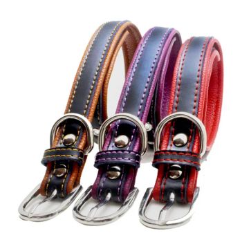 New Leather Pet Products Double Head Pet Traction Rope Dog Walking Belt Products - Aumann Technology (Shenzhen) Co., Ltd. - China