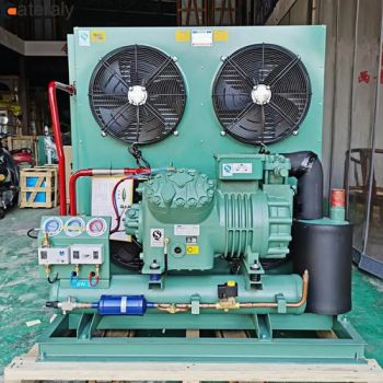 Industrial Cold Room Freezer Unit with Original World Famous Compressors Cold Storage Room Cooled Refrigeration Compressor - Henan Cateraly Door Co., Ltd. - China
