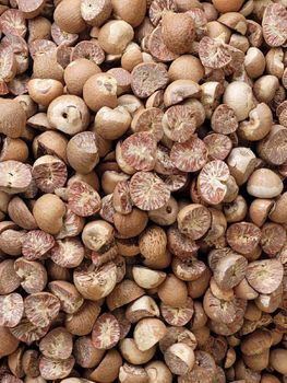 Indonesian Areca Nuts (Betel Nuts) – Jambi Origin – product photo, Nuts products found from trusted suppliers, wholesalers, manufacturers & exporters Listing