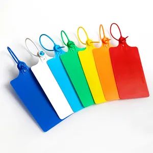 Big Disposable Tamper Proof Pull Tight Plastic Security Seals Tags for Garment/Shoes/Bags - Foshan Shunde Ronggui Yingli Industrial Co., Ltd - China