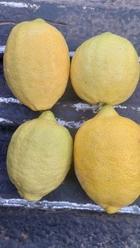 Lemon Grade B and c suitable for lemon juice, we have more than 1 000 000 kg based in South Africa Limpopo Marble hall from Mmakwati Holdings Lemon Grade B and c suitable for lemon juice, we have more than 1 000 000 kg based in South Africa Limpopo Marble hall - Mmakwati Holdings - South Africa