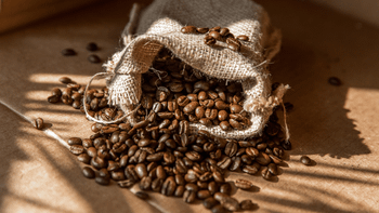 Organic Blended Green Arabic and Robusta Coffee Beans 100% Premium Quality - AGRONOVA - United States