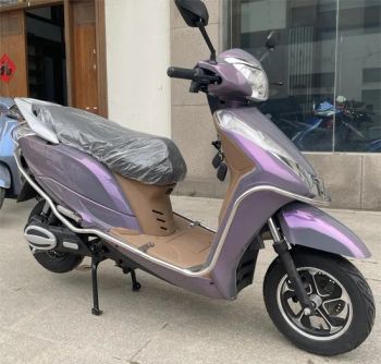 China Customized Pedal Electric Road Motor Moped Bike with Steel Guard Self-Balancing Electric Scooters - Wuxi Legend International Import & Export Co., Ltd. - China