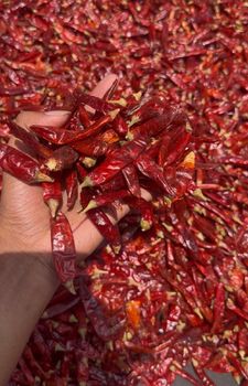 chilli powder premium quality - Sooriya Products - Sri Lanka