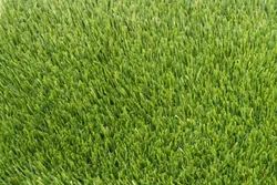 Curving Premium Made in China Grass for Balcony & Rooftop Gardens - Jackson DC - Algeria