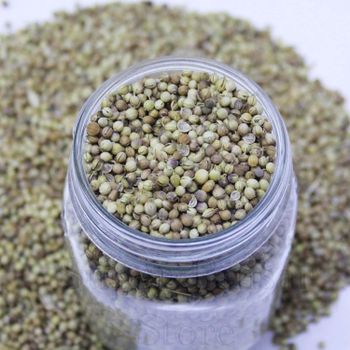 High Quality Coriander Seeds 100% Organic Premium Natural Dried Vegetable Seeds Bulk & MOQ Supplier Best for Gardening - TRADECENTRIC LLC - United States