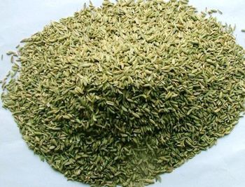 Fennel seeds Purity - Herbs Land Trading - Egypt